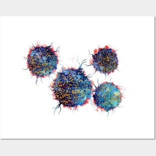 T cells Posters and Art